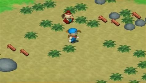 Harvest Moon Back To Nature Psp