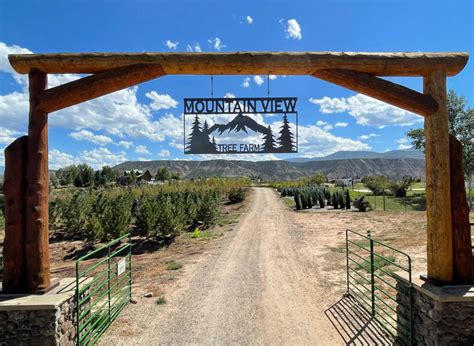 Contact Us Mountain View Tree Farm