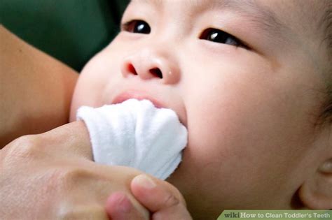 How to Clean Toddler's Teeth: 7 Steps (with Pictures) - wikiHow