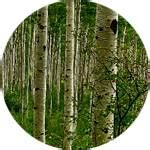 PARAZOX (ПАРАЗОКС) от паразитов🔴 КУПИТЬ капли или заказать в аптеке ...