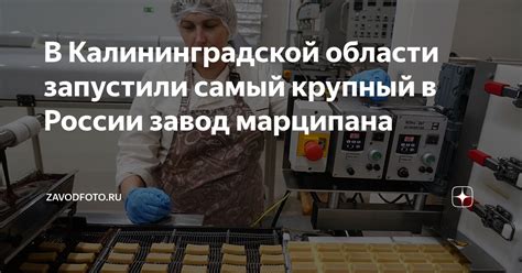 В Калининградской области запустили самый крупный в России завод ...
