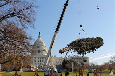 Capitol Christmas Tree Arrives | Architect of the Capitol | United ...