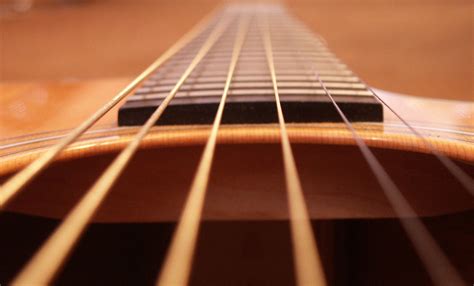 Taylor Guitar Strings Free Photo Download | FreeImages