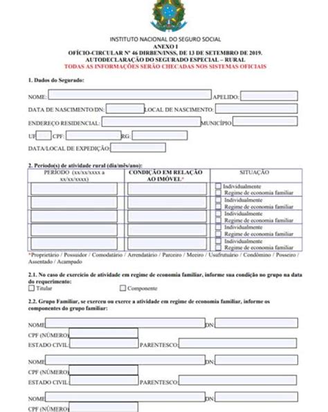 Autodeclaração Rural Pdf 3
