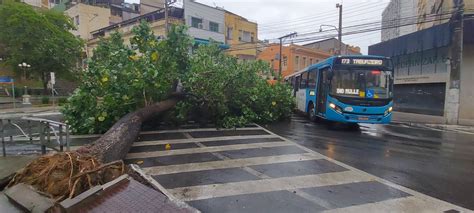 A Gazeta Chuva derruba árvore e interdita rua no Centro de Vitória