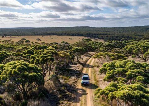Essential 4WD Tips for a Safe and Epic Camping Adventure