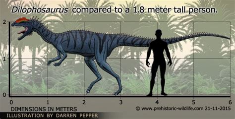 Scientifically Accurate Dilophosaurus Jurassic Park Amino