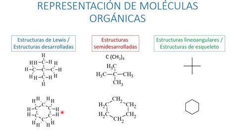 The Ultimate Guide To Organic Molecular Structures