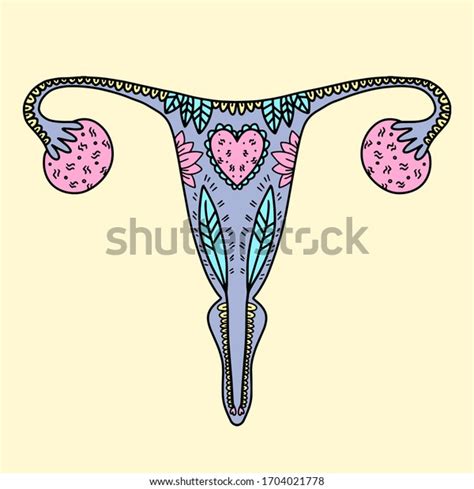 Illustration Female Reproductive System Doodle Illustration Stock Vector Royalty Free 1704021778