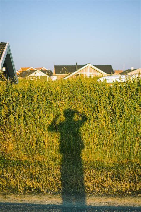 Denmark Summer 2021 on Behance