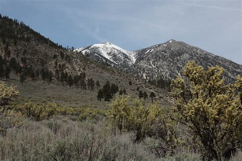 Carson Valley Trails One Tranquil Hike With Amazing Valley Vistas I