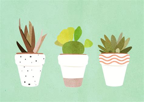 Plants On Behance