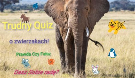 Trudny quiz wiedzy o zwierzakach Prawda czy Fałsz sameQuizy