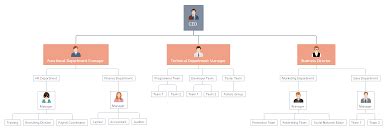 8 Types Of Organizational Charts - FlashLearners