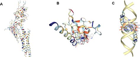 Molecular Docking Analysis Of Quercetin And Top Three Core Target