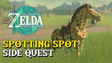 Zelda Tears Of The Kingdom How To Get Spot Spotting Spot Side Quest