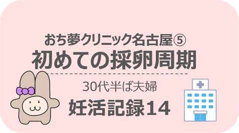 30代不妊治療夫婦 おち夢クリニック⑤採卵周期スケジュールと費用 みっきゃんブログ｜30代主婦の不妊治療、家づくりと色々