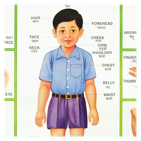 Meh: Parts of the Body English to Hindi Translation Poster