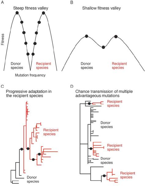 Evolutionary Models For The Cross Species Transmission Of Pathogens