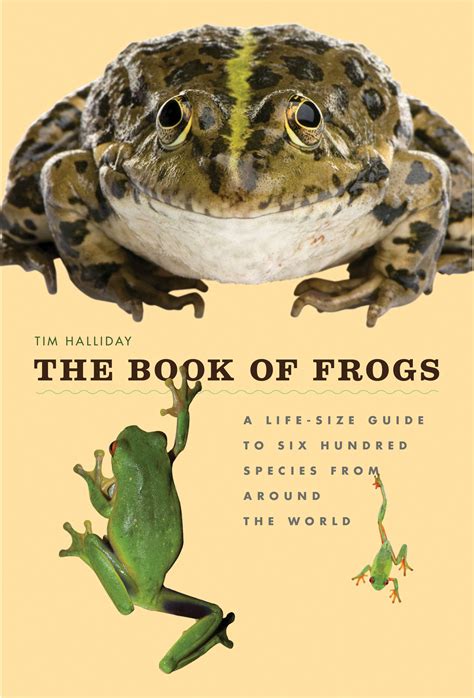 The Book Of Frogs A Life Size Guide To Six Hundred Species From Around