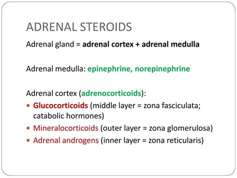 Direct Sympathomimetics And Glucocorticoids Ppt Download