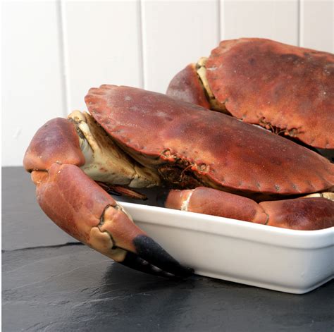 Whole Cooked Male Crab 15 18kg Each Only £1750 From The Berwick