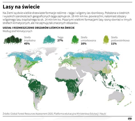 Lasy W Polsce I Na Wiecie Infografika Radio Zach D Lubuskie