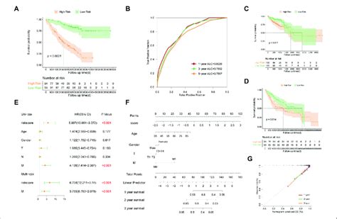 Evaluation And Validation Of The Established Signature In Tp Mutant