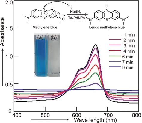 Green Synthesis Of Terminalia Arjuna Conjugated Palladium Nanoparticles