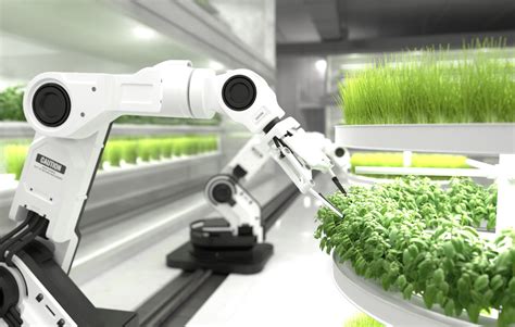 Robots in Agriculture Boosting Productivity Sustainability