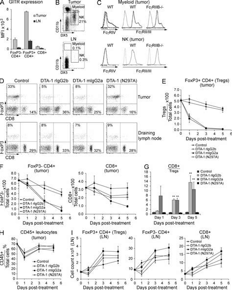 Engagement Of Fcγrs By Dta 1 Induces Loss Of Intratumoral T Reg Cells