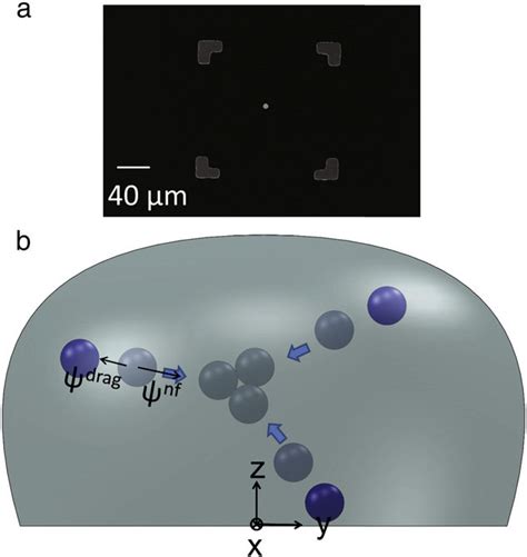 A Sem Views Of Gold Nanoparticle Clusters Diameter 100 Nm I A