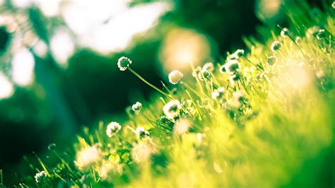 spring green light corner-Photography HD Wallpaper Preview ...