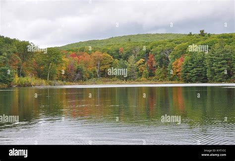 Monterey, MA. Beautiful fall colors along the pond in Beartown State ...