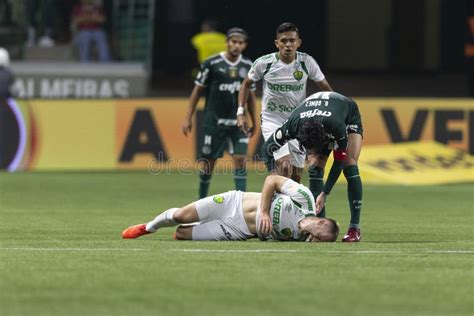 Brazilian Championship Serie A Botafogo Vs Cuiab Editorial Image