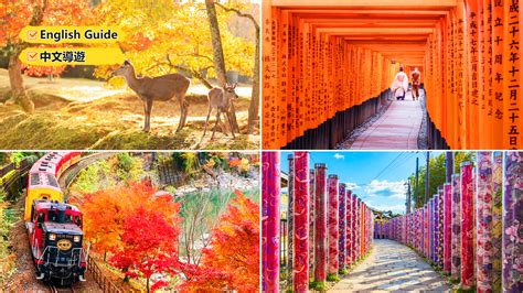 Kyoto One Day Tour To Arashiyama Nara Kyoto Nara Park Fushimi