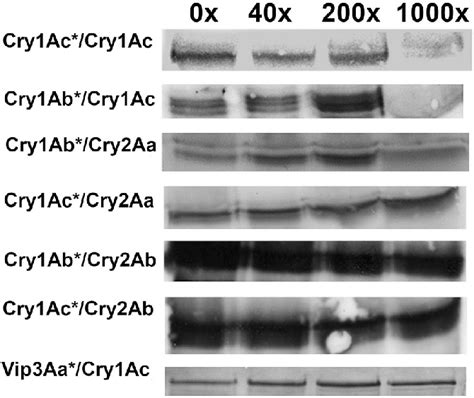 Homologous Cry Ac And Heterologous Cry Ab Cry Ac Cry Aa Cry Ab