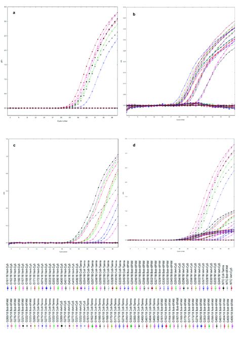 Amplification Plots Of Designed Triplex Real Time Pcr Specificity Of