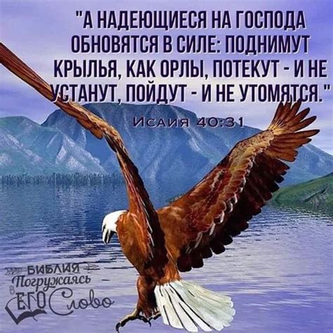 Мое сердце устало...оно ждет и не ждет, И душа выползая из плена ...