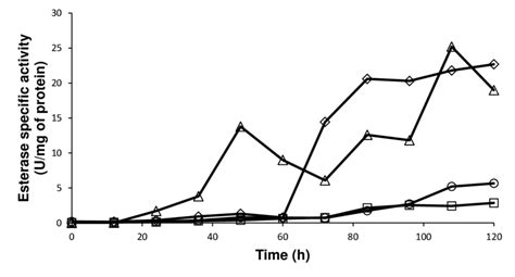 Esterase Specific Activity Of F Culmorum Grown In Glucose Supplemented