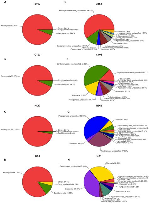 Frontiers Fungal Diversity In Field Mold Damaged Soybean Fruits And