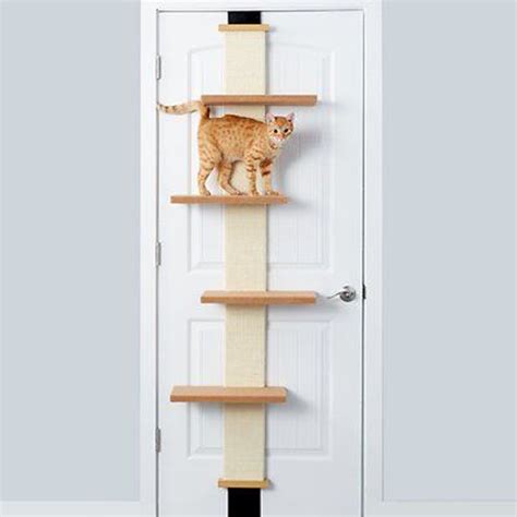 Easy Diy Cat Shelves Ideas That Will Wow Them Homemydesign Cat