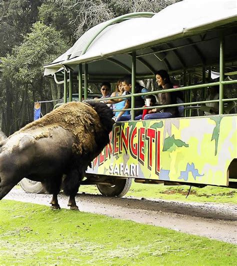 Edomex Bioparque Estrella Ofrece Descuentos En Sus Boletos