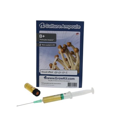 B Magic Mushroom Spore Syringe Psilocybe Amplus