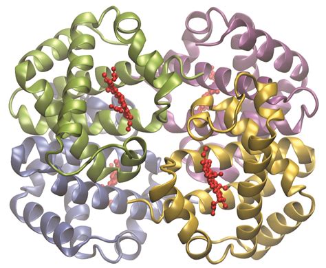 19 2 Coordination Chemistry Of Transition Metals Chemistry