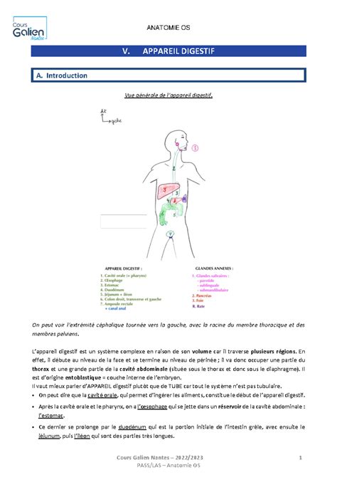 Cahier Galien Nantes Anatomie Cours Galien Nantes V