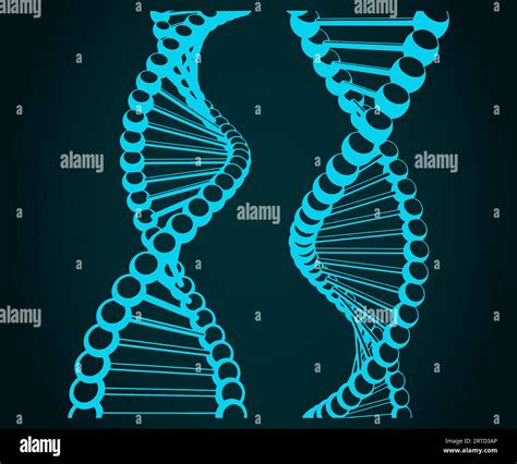 Stylized Vector Illustration Of DNA Chains Stock Vector Image Art Alamy