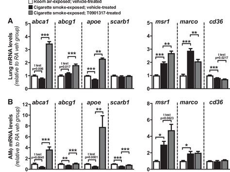 Figure From Pharmacological Activation Of Liver X Receptor During