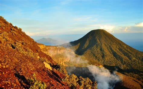 Diverse Nature In Gunung Gede Pangrango National Park Indonesia