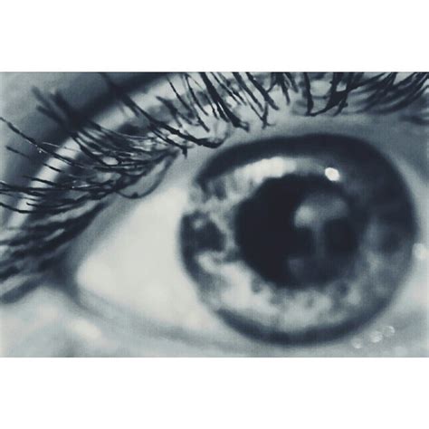 Фиолетовый Хомяк 2024 | ВКонтакте